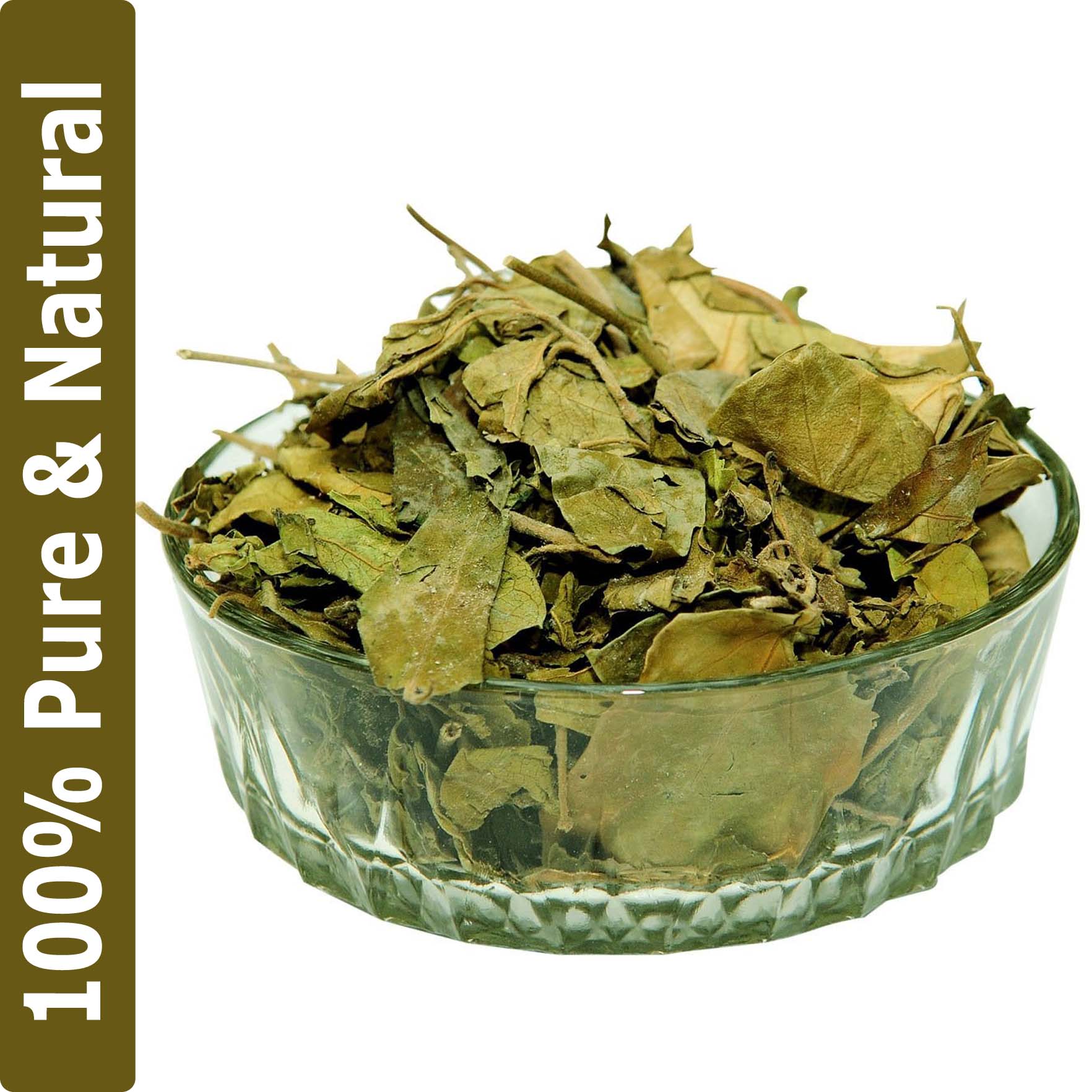 Dirghaanshi Dried Gudmar, Gurmar, Sirukurinjan, Madhunashini, Gymnema