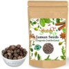 Jamun Guthli
