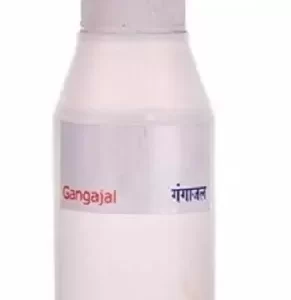 Dirghaanshi Gangajal Pure Holy water from haridwar (50 ML Bottle)