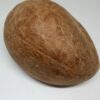 Dirghaanshi Dried Sabut Coconut, Sukha Nariyal, Gola, Gut, Git, Khopra Sabut (1 Pec)