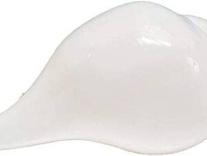 Dirghaanshi Original Lakshmi Sacred Sangu Conch Shell Shankh for Pooja Blowing Shankh (White) Small Size 7 to 10 cm
