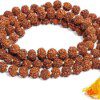 Dirghaanshi Certified Original Rudraksha Mala (Brown, 9-10mm) with Certificate for Wearing and Japa Mala (5 Mukhi Mala, 108 beads Mala Rosary Garland)