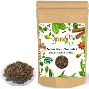 Dirghaanshi Dried Neem Seeds, Nimboli, Neem Guthli, Azadirachta Indica, Vepa Ginialu, Neem Beej Seed (Pack of 100gm))