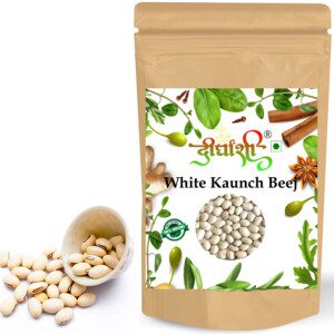 Dirghaanshi Kaunch Seeds White, Kauch Beej Safed, Konch.Kauch, Banar Kalua, Mucuna Pruriens White Seed (Pack Of 100gm)