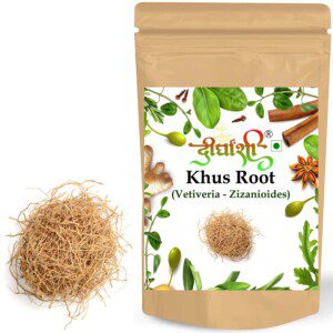 Dirghaanshi Khas Root, Khus Jad, Ushira, Vetiver Root, Vetiveria Zizanioides, Ramacham Seed (Pack Of 100gm)