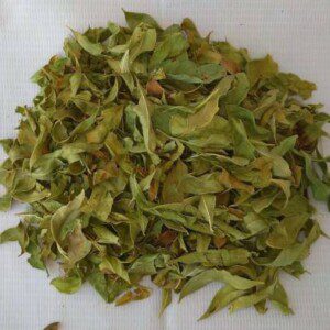 Dirghaanshi Henna Leaves,Mehandi Leaves,Lawsonia Inermis,Mehndi Patta,Marudhani,Mehandi Leaf Seed (Pack of 100gm)