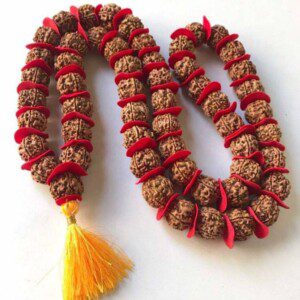 Dirghaanshi Original Rudraksha 5 Mukhi / Five Face Kantha Mala 54 +1 Beads ( Bead Size 14 MM Approx ) Wood Chain/Mala Wood Chain