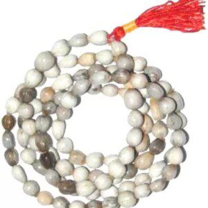 Dirghaanshi Vaijanti Mala Without Rudraksha for Japa Puja and Neck Wearing, 100% Pure Vaijayanti Beads Size 7-8 mm, Color Off White Wood Chain (Pack of 1 Pec)