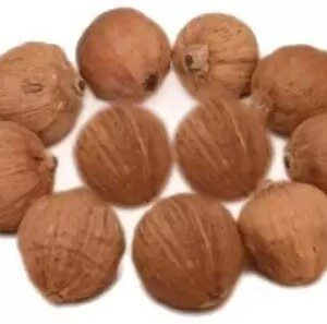 Dirghaanshi Shreephal / Laghu Nariyal / Mini Coconut Wooden Earthenware Yantra (Pack of 5)